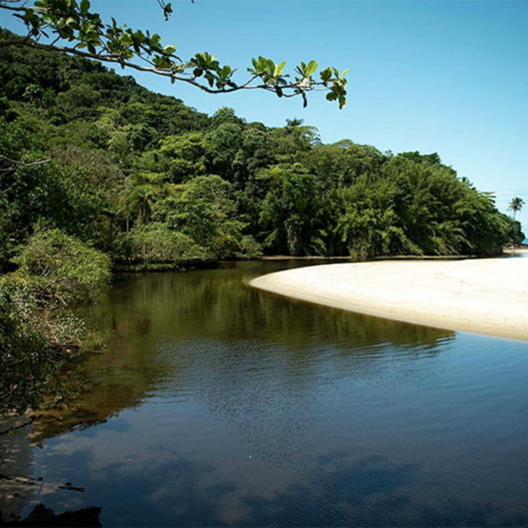 rio sahy